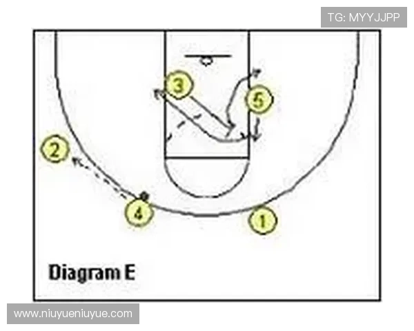 南京排球队快攻战术解析与实战应用探讨